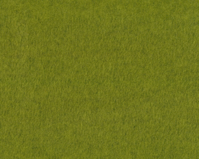 50 cm Reststück Kuschel-Fleece THIES, grasgrün