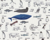 Popeline-Baumwollstoff ARTICO, Tiere der Arktis mit Pinguinen
